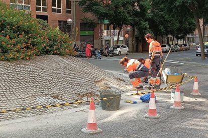 Operarios de la brigada municipal realizando las tareas de mantenimiento en la rotonda de Pere Martell.