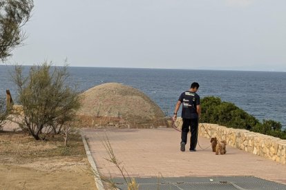 Uno de los accesos a los nidos de la Punta del Porroig, en Salou, recuperados en el marco del proyecto de restauración del patrimonio histórico.
