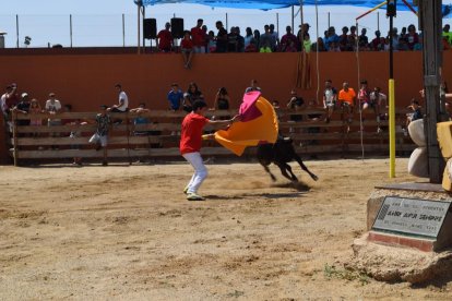 El municipi del Morell s'ha aplegat, aquest dissabte al matí, per donar el tret de sortida a la 29ª edició del tempteig de vaquetes.