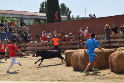 El municipi del Morell s'ha aplegat, aquest dissabte al matí, per donar el tret de sortida a la 29ª edició del tempteig de vaquetes.