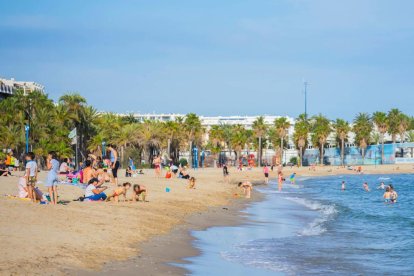 Un buen puñado de personas se han saltado la prohibición de baño y de tomar lo suele en las playas de todo el país esta tarde en la playa de Ponent de Salou.