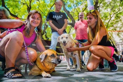 Fiestas en el barrio tarraconense de Maria Cristina