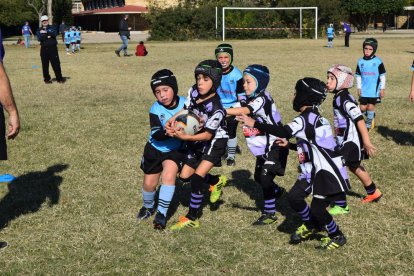 Encuentro de escuelas de rugby en las instalaciones del CR Tarragona.