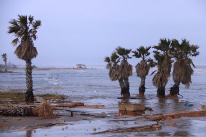 Afectaciones del temporal en el delta del Ebro