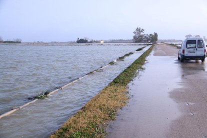 Afectacions del temporal al delta de l'Ebre