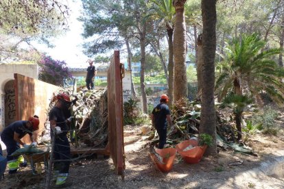 Treballs de restauració vegetal de Cala Morisca de Salou