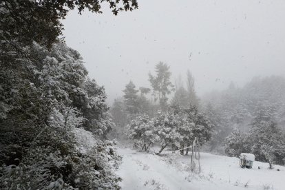 El municipi, blanc