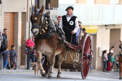 Imatges de la 30ª edició dels Tres Tombs de Constantí