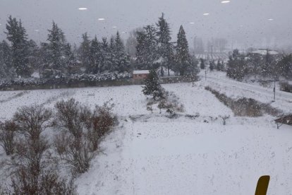 Les imatges de la nevada a Prades