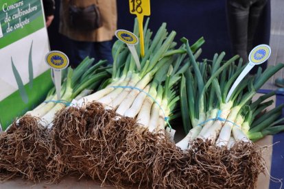 Degustació de salses i concursos de cultivadors i de coure calçots a Valls.