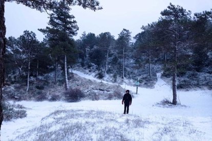 La nieve hace acto de presencia en Colldejou