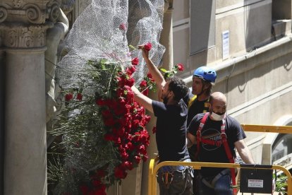 Reus estarà engalanada amb la seva flor més emblemàtica fins diumenge