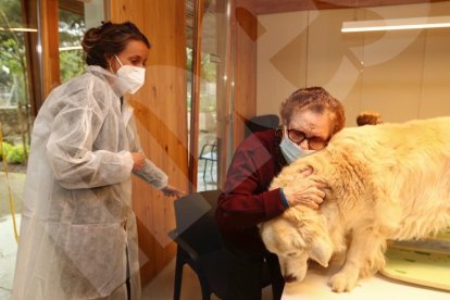 Teràpia amb gossos al Centre d'Alzheimer de Reus