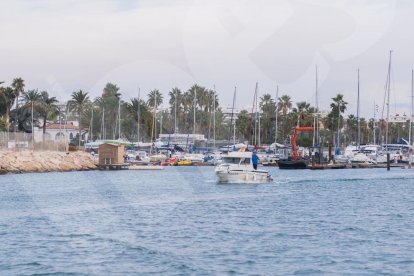 El Concurs de Pesca del Calamar de Salou durarà fins el proper dissabte