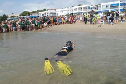 L'alliberament de les tortugues ha despertat molta expectació.