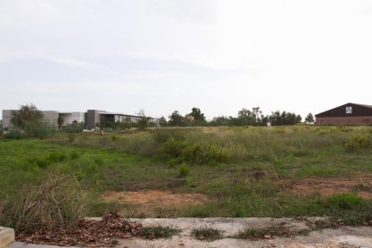 Una imagen de archivo de los últimos terrenos municipales al cambiar de manos, a la zona de La Roureda.