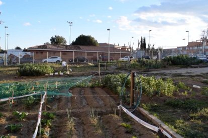 Los huertos urbanos municipales, una buena manera de dar una nueva utilidad en los solares municipales vacíos