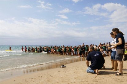 Les tres tortugues van néixer fa tres anys a Tarragona.