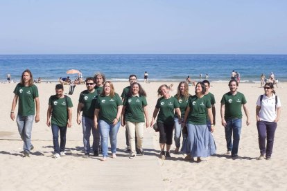 Dues tortugues supervivents de la platja Llarga s'alliberaran al juny