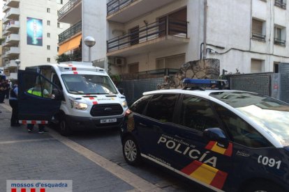 Un operatiu realitzat per tres cossos policials acaba amb un detingut