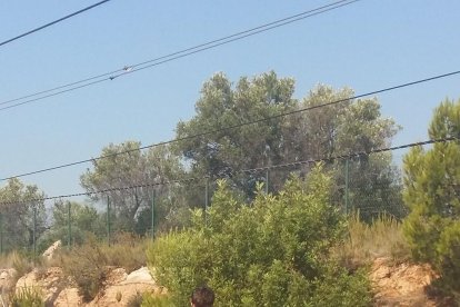 Imagen de una mujer acompañada después de ser evacuada del tren a causa de la avería.