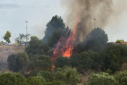 Crema un solar al costat del CN Tàrraco