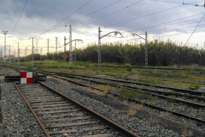 La estación de clasificación tiene carriles cortados por un cambio de vía que hizo descarrilar un tren.