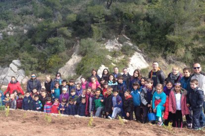 Els infants participants en l'activitat han plantat arbres i plantes aromàtiques.