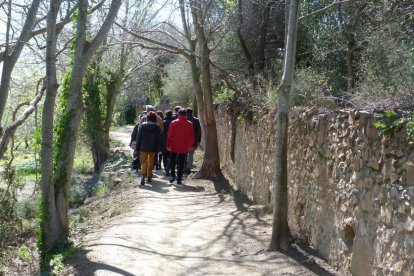 Treballs de millora condicionen el Camí dels Molins i la Pedrera d'en Xispa de Riudecanyes