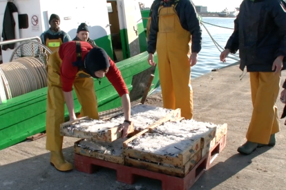 L'entitat Peix Blau s'encarrega de promocionar la marca del peix del mediterrani que es pesca a Tarragona, Cambrils i l'Ametlla de Mar.