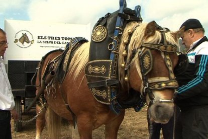 Els Tres Tombs llueixen a la Selva del Camp