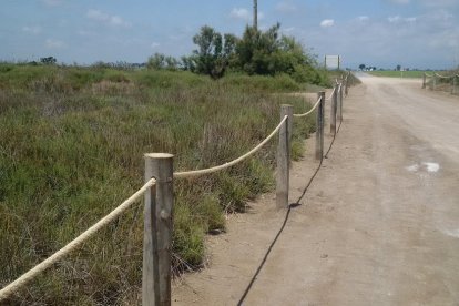 Proteccions instal·lades al Serrallo, a Sant Jaume d'Enveja, al Parc Natural del delta de l'Ebre, aquest juliol de 2016