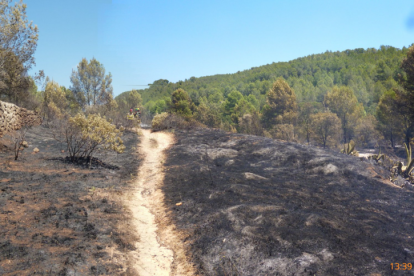 Agents Rurals conclouen que l'incendi de Sant Ramon va ser intencionat