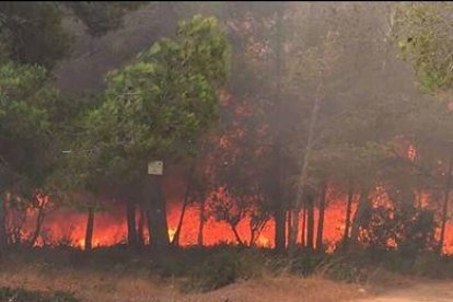 L'incendi dels Pallaresos obliga a desallotjar veïns de Mas dels Frares