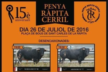 Un ferit per una cornada a les festes taurines de Sant Carles de la Ràpita