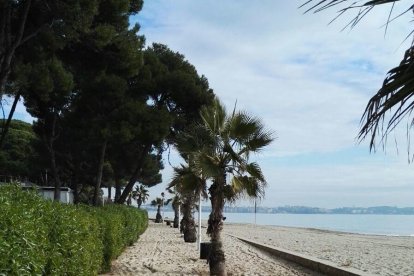 El carril bici i el passeig de vianants, plens de sorra.