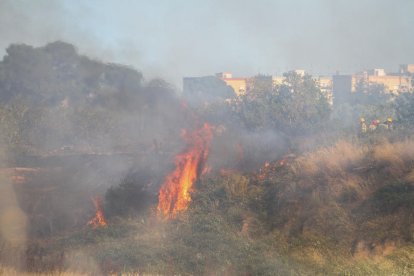 El foc mentre cremava.