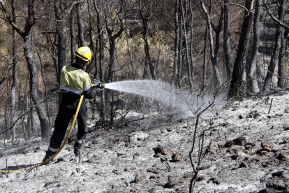 Detall d'un bomber ruixant una zona cremada de l'incendi de la Pobla de Montornès. 6 d'agost de 2016