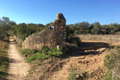 El nou barri es vol construir en un espai força natural i pròxim a la platja.