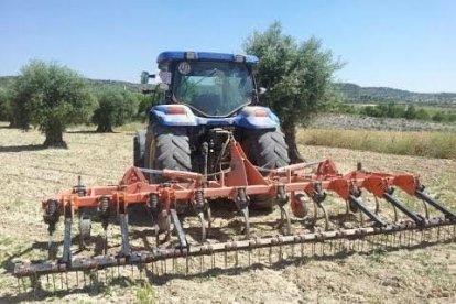 El hombre se habría caído del cultivador con el que estaba trabajando las tierras.