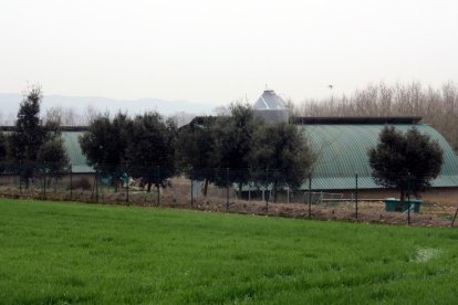 Una imagen exterior de una granja de Sant Gregori donde se han hecho comprobaciones por el foco de gripe aviar.