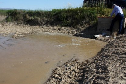 L'aigua torna a inundar els arrossars del delta de l'Ebre amb preucupació pel caragol maçana