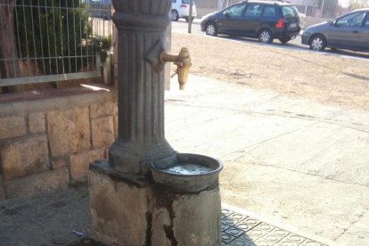 Denuncien brutícia i orins prop de l'entrada de l'Escola Torreforta