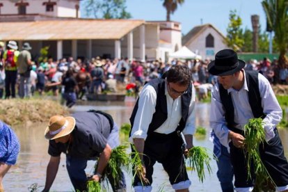 Més de 6.000 assistents a la festa de la Plantada