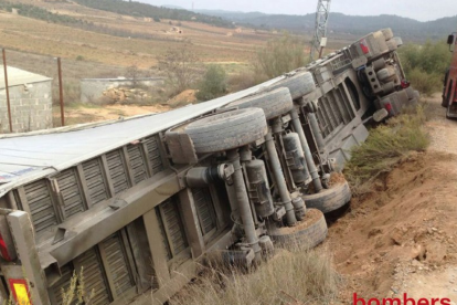 El camión ha volcado mientras circulaba por una pista forestal.