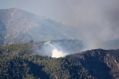 Pla general de la zona afectada per l'incendi a la serra de Cardó-Boix. Imatge del 27 de juliol de 2017