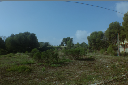 Salvem la Llarga pide un nuevo barrio más pequeño y hacer un gran parque a la Budellera