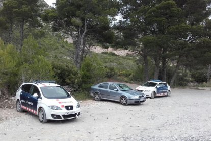 Apareix penjat d'un arbre el notari de Cambrils investigat per una estafa d'1,9 MEUR