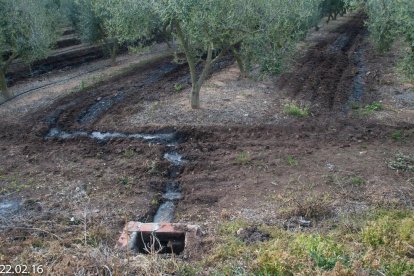 Una imagen de la balsa donde, según apuntan los vecinos, almacenan los purines para regar el campo.