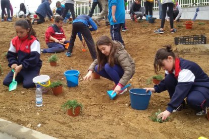 Más de 500 niños celebran el Día del Árbol en l'Hospitalet de l'Infant